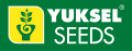 Yuksel tohum, Туреччина