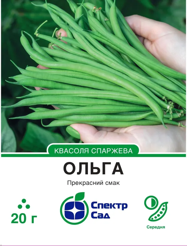 Квасоля спаржева Ольга, 20 г