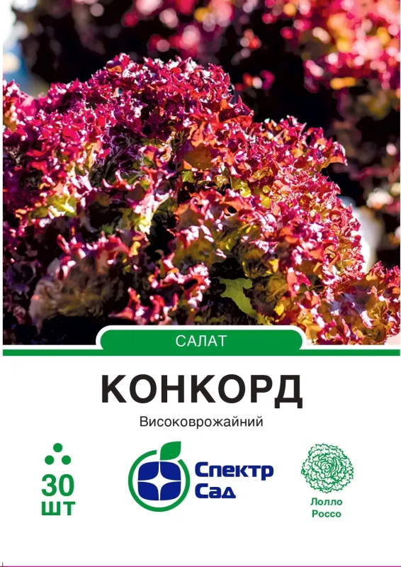Салат Конкорд, 30 шт