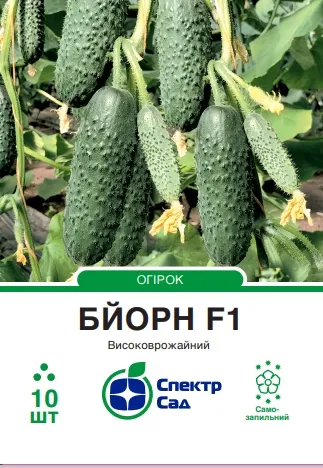 Огірок Бйорн F1, 10 шт