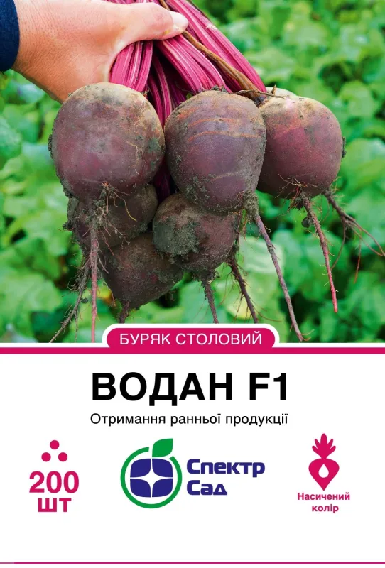 Столовий буряк Водан F1, 200 шт