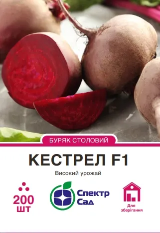 Столовий буряк Кестрел F1, 200 шт