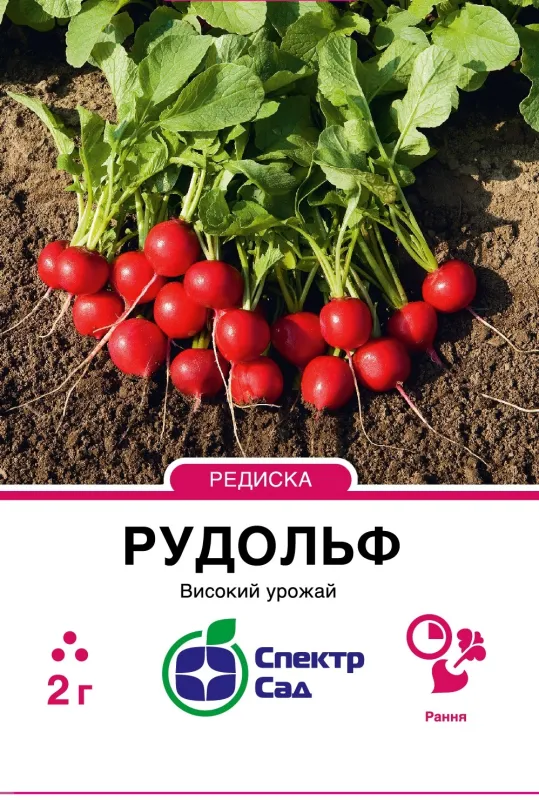 Редиска Рудольф, 2 г