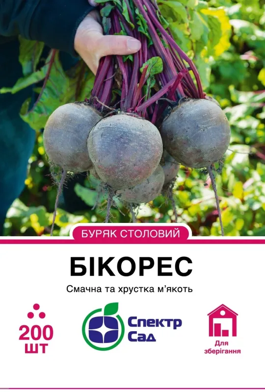 Столовий буряк Бікорес, 200 шт