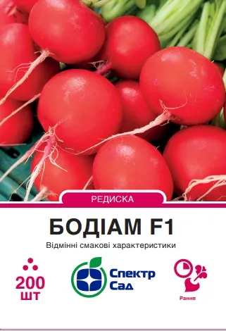 Редиска Бодіам F1, 200 шт