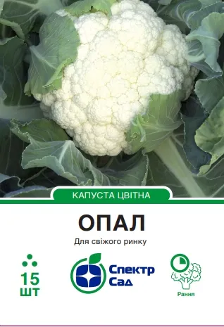 Капуста цвітна Опал, 15 шт