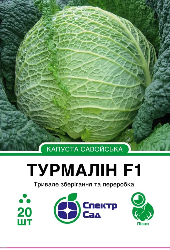 Савойська капуста Турмалін F1, 20 шт