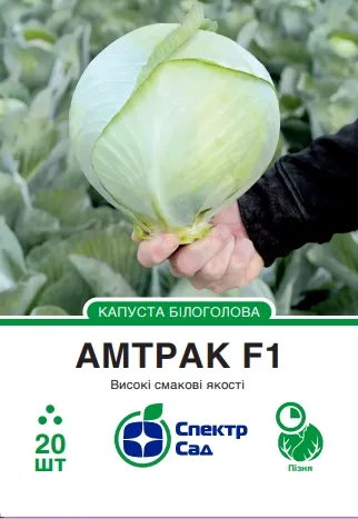 Білоголова капуста Амтрак F1, 20 шт