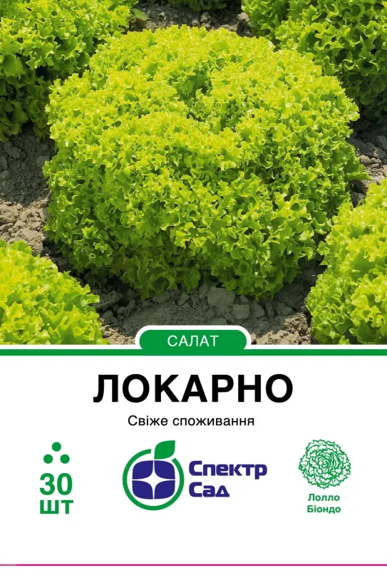 Салат Локарно, тип Лолло Біондо, 30 шт