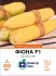 Цукрова кукурудза Фіона F1, 200 шт
