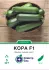 Кабачок Кора F1, 5 шт