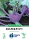 Насіння капусти кольрабі Колібрі F1, 15 шт