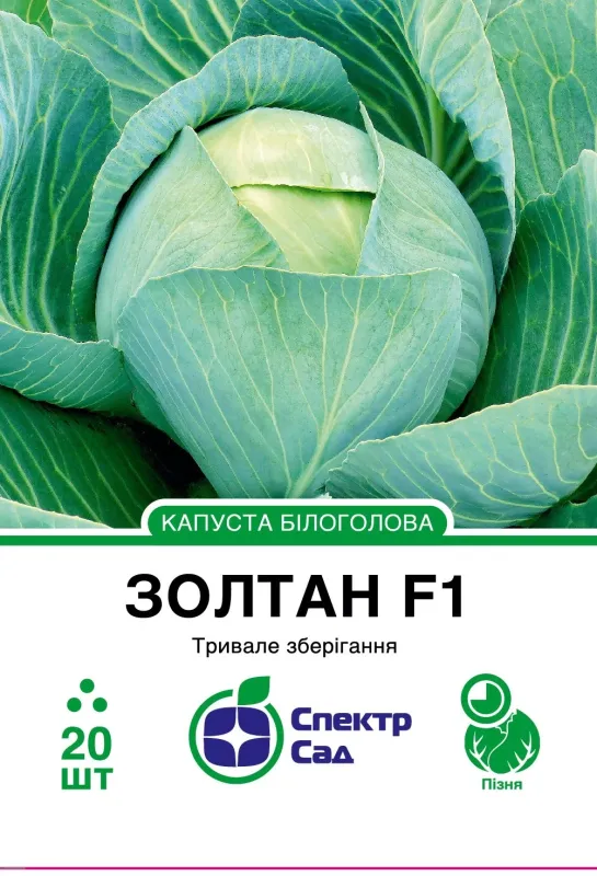 Білоголова капуста Золтан F1, 20 шт