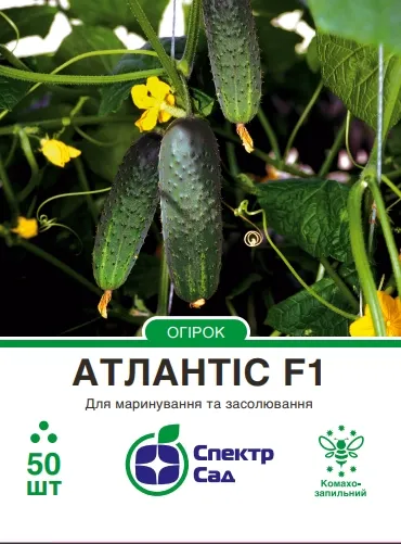 Огірок Атлантіс F1, 50 шт