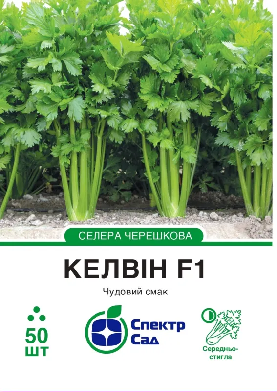 насіння Селери черешкової Келвін F1, 50 шт