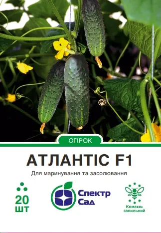 Огірок Атлантіс F1, 20 шт