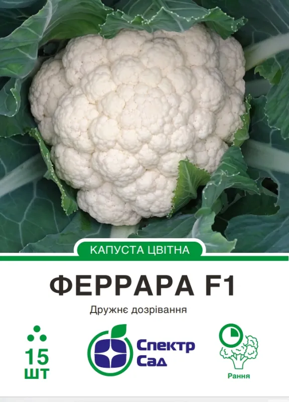 Цвітна капуста Феррара F1, 15 шт