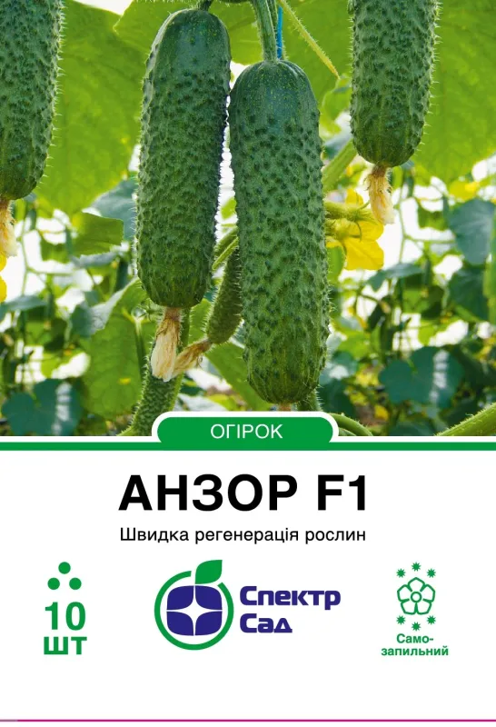 Огірок Анзор F1, 10 шт