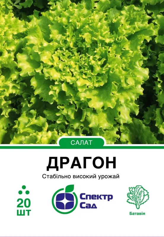 Салат Драгон, тип Батавія, 20 шт