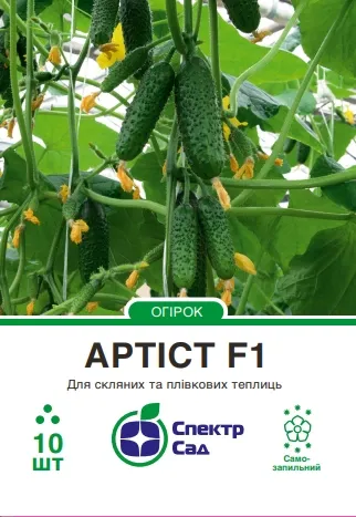 Огірок Артіст F1, 10 шт