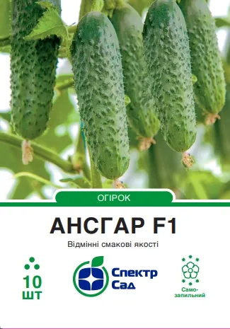 Огірок Ансгар F1, 10 шт