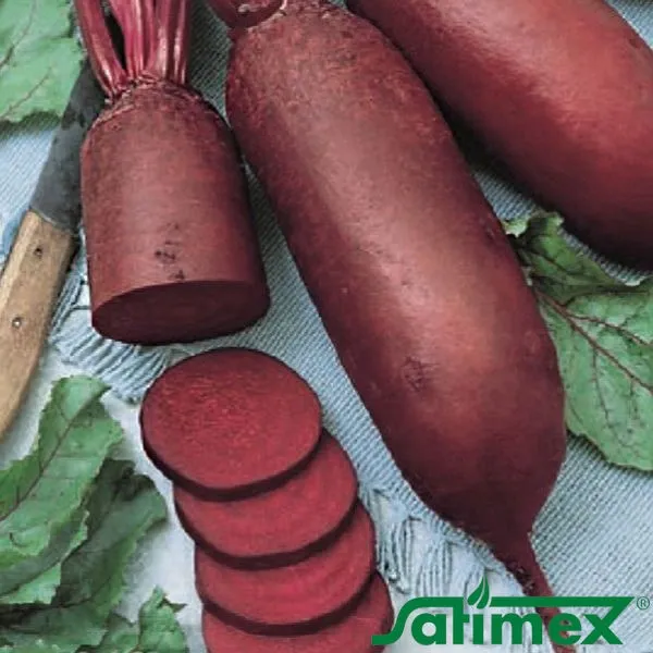 Буряк столовий Атоман, 10 г власне фасування