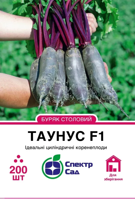 Столовий буряк Таунус F1, 200 шт