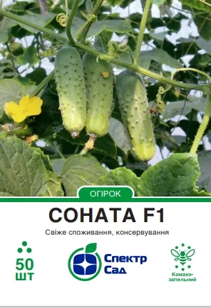 Огірок Соната F1, 50 шт