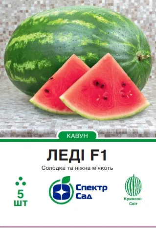 Кавун Леді F1, 5 шт