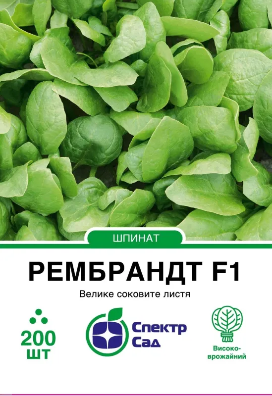 НАСІННЯ ШПИНАТУ РЕМБРАНДТ F1, 200 шт