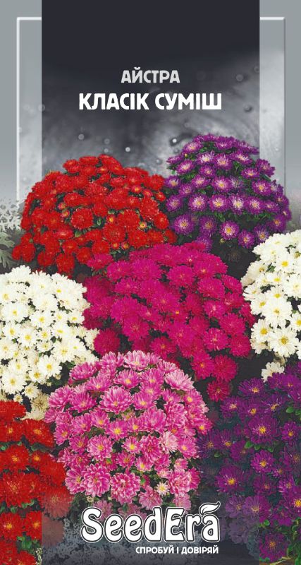 Насіння Айстри Низькоросла Класік Суміш 0,25 г