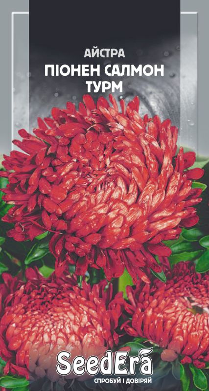 Насіння Айстри Високоросла Піонен Салмон Турм 0,25 г