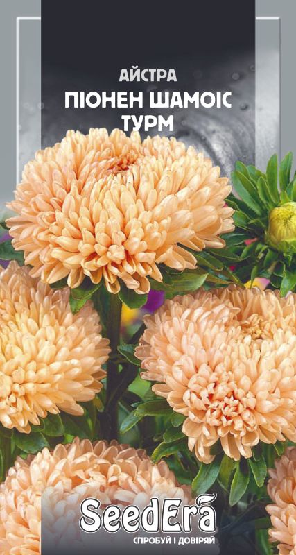 Насіння Айстри Високоросла Піонен Шамоіс Турм 0,25 г