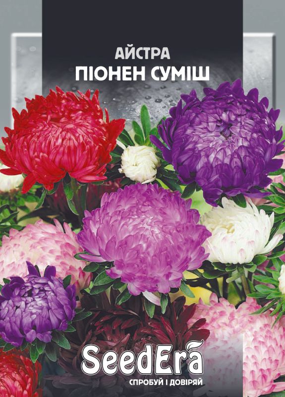Насіння Айстри Високоросла Піонен Суміш