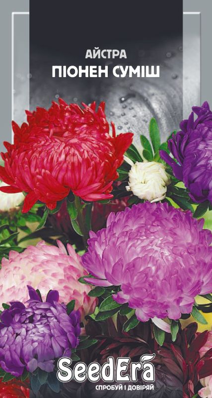 Насіння Айстри Високоросла Піонен Суміш 0,25 г