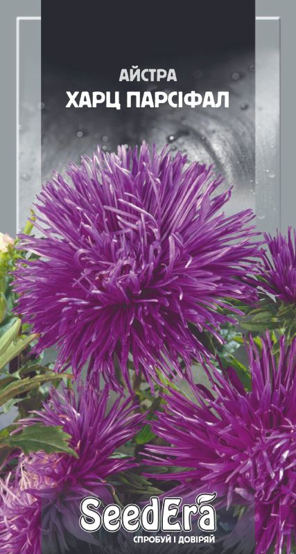 Насіння Айстри Високоросла Харц Парсіфал 0,25 гр