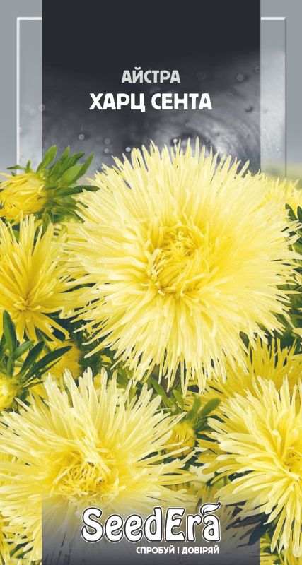 Насіння Айстри Високоросла Харц Сента 0,25 г