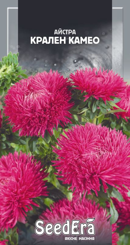 Насіння Айстри Високоросла Крален Камео 0,25 г