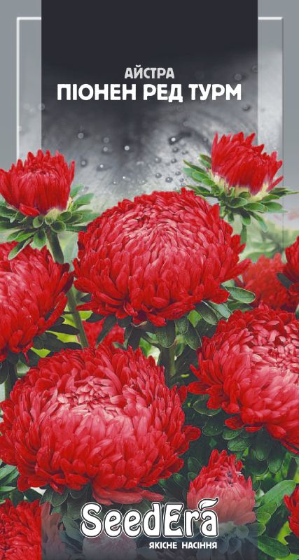 Насіння Айстри Високоросла Піонен Ред Турм 0,25 г