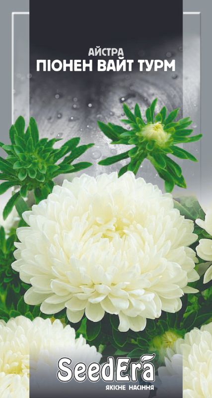 Насіння Айстри Високорослої Піонен Вайт Турм 0,25 г