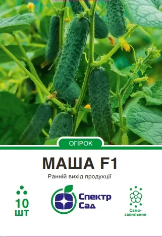 Огірок Маша F1, 10 шт