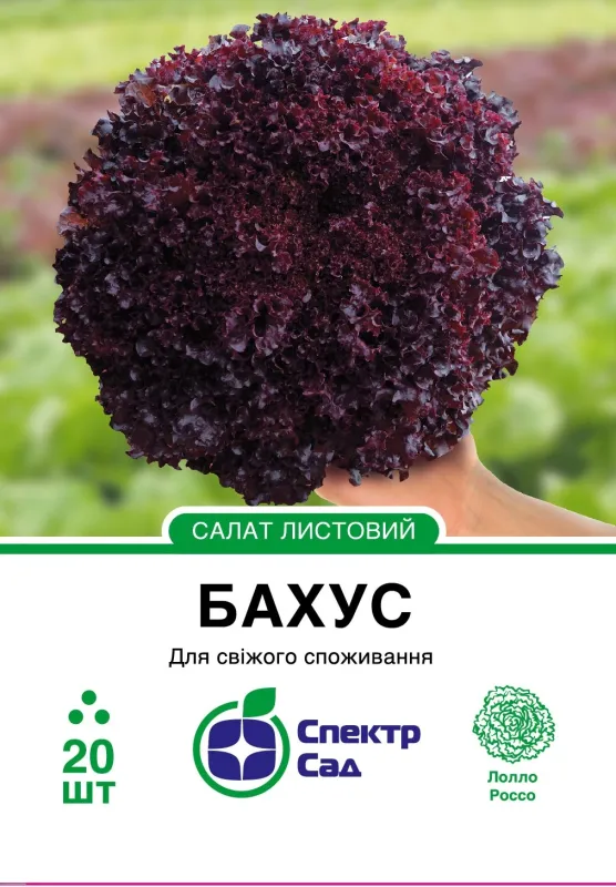 Салат Бахус, тип Лолло Росса, 20 шт