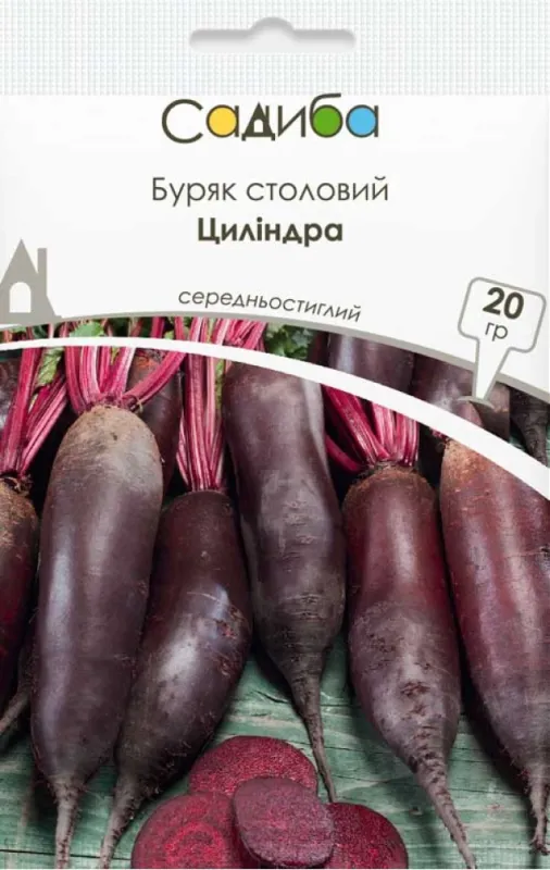 Буряк столовий Циліндра, 20 гр