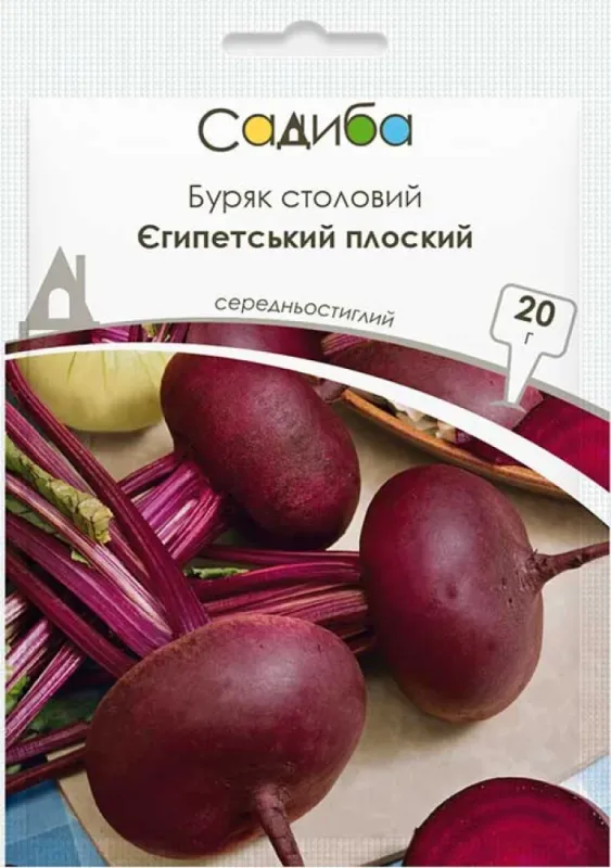 Буряк столовий Єгипетський плаский