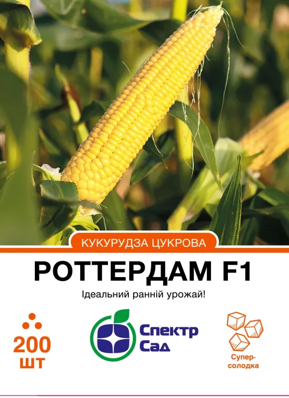 Цукрова кукурудза Роттердам F1, 200 шт
