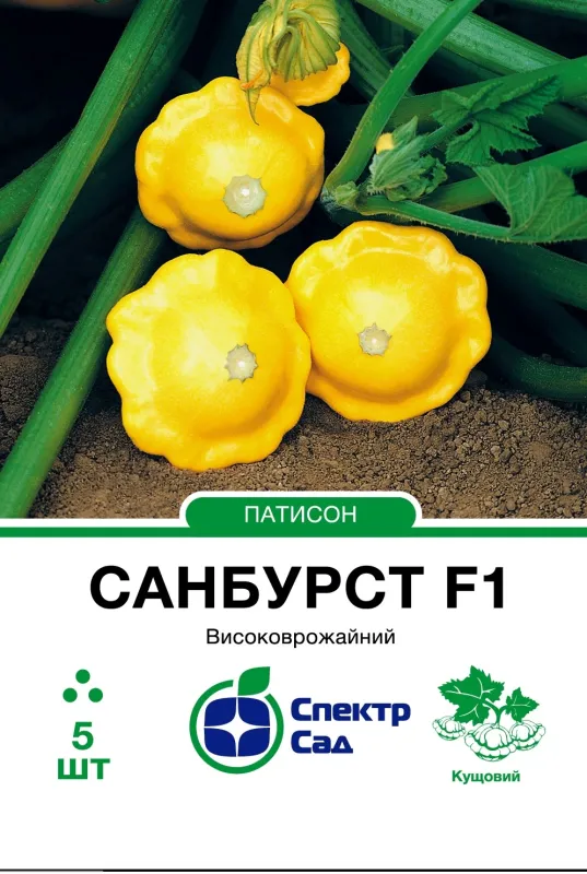 Патисон Санбурст F1, 5 шт