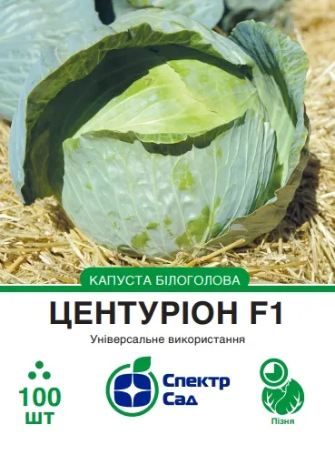Білоголова капуста Центуріон F1, 100 шт