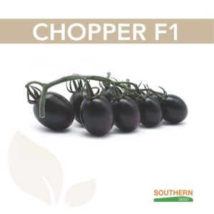 Томат Чоппер (Chopper ) F1, 5 шт