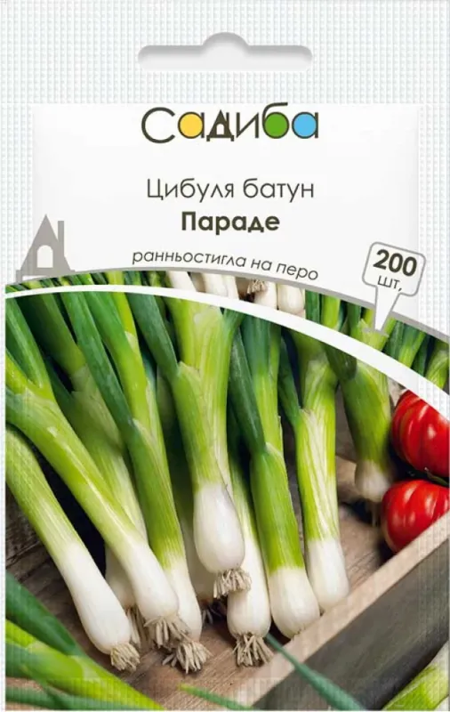 Цибуля батун Параде, 200 шт садиба