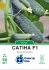 Огірок Сатіна F1, 50 шт